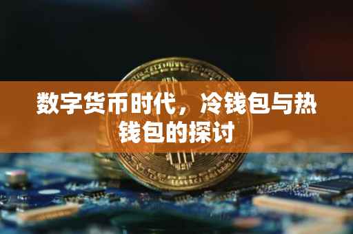 数字货币时代，冷钱包与热钱包的探讨