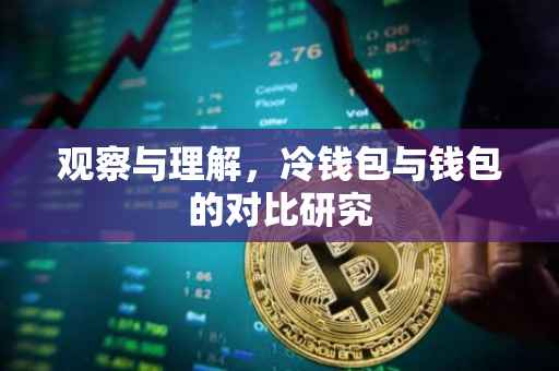 观察与理解，冷钱包与钱包的对比研究