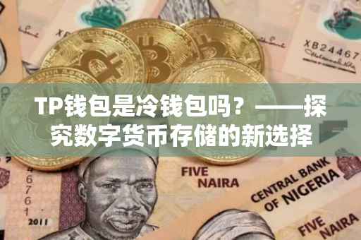 TP钱包是冷钱包吗？——探究数字货币存储的新选择
