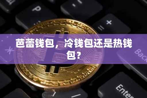 芭蕾钱包，冷钱包还是热钱包？