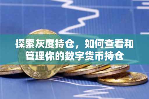探索灰度持仓，如何查看和管理你的数字货币持仓