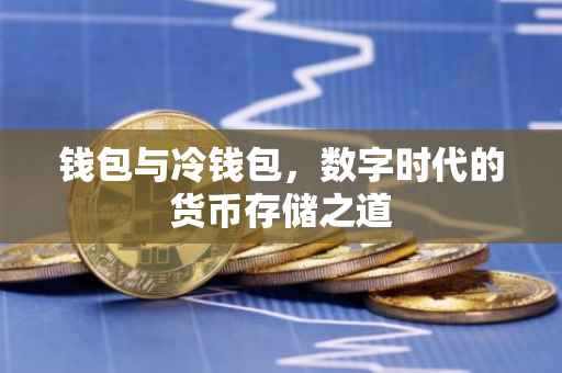 钱包与冷钱包，数字时代的货币存储之道