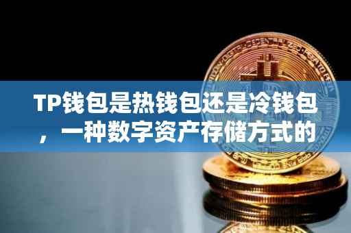 TP钱包是热钱包还是冷钱包，一种数字资产存储方式的探讨