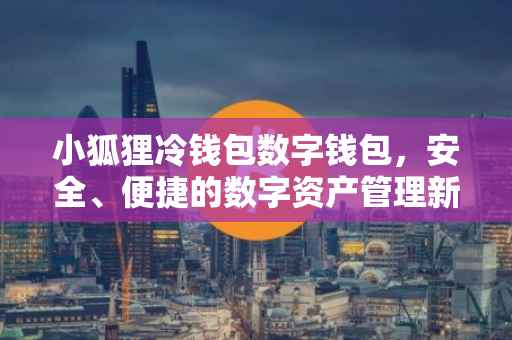 小狐狸冷钱包数字钱包，安全、便捷的数字资产管理新选择