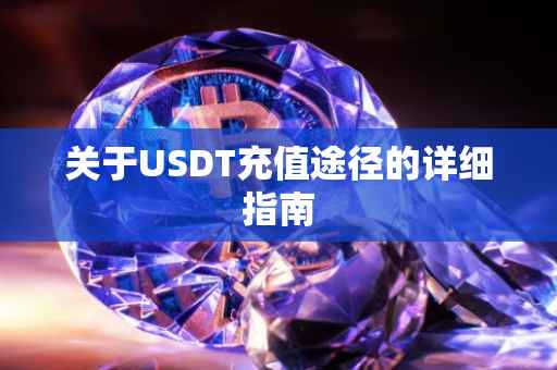 关于USDT充值途径的详细指南