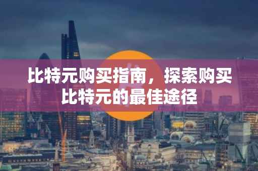 比特元购买指南，探索购买比特元的最佳途径
