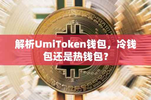解析UmiToken钱包，冷钱包还是热钱包？