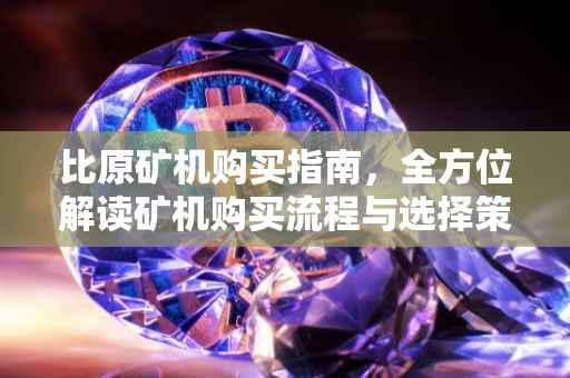 比原矿机购买指南，全方位解读矿机购买流程与选择策略