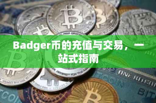 Badger币的充值与交易，一站式指南