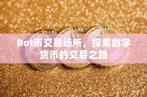 Bot币交易场所，探索数字货币的交易之路