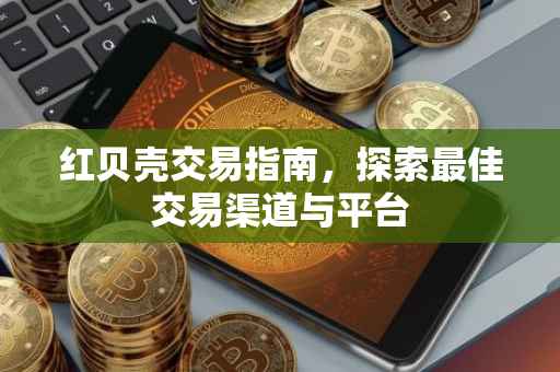 红贝壳交易指南，探索最佳交易渠道与平台