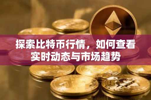 探索比特币行情，如何查看实时动态与市场趋势