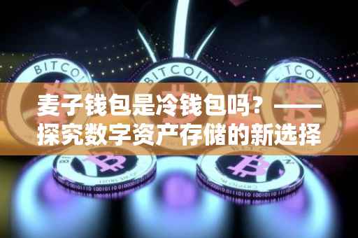 麦子钱包是冷钱包吗？——探究数字资产存储的新选择