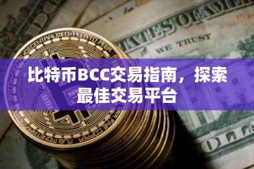 比特币BCC交易指南，探索最佳交易平台