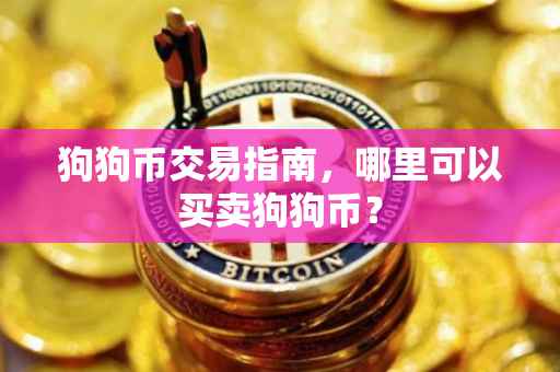 狗狗币交易指南，哪里可以买卖狗狗币？