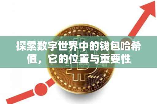 探索数字世界中的钱包哈希值，它的位置与重要性