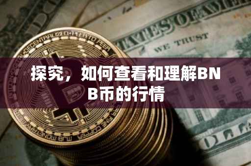 探究，如何查看和理解BNB币的行情