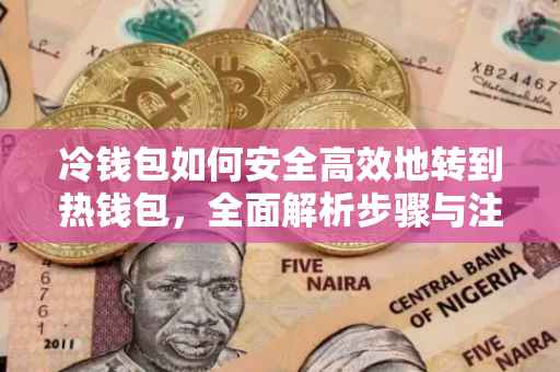 冷钱包如何安全高效地转到热钱包，全面解析步骤与注意事项