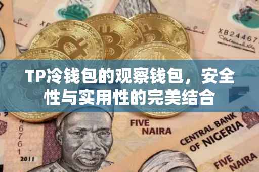 TP冷钱包的观察钱包，安全性与实用性的完美结合