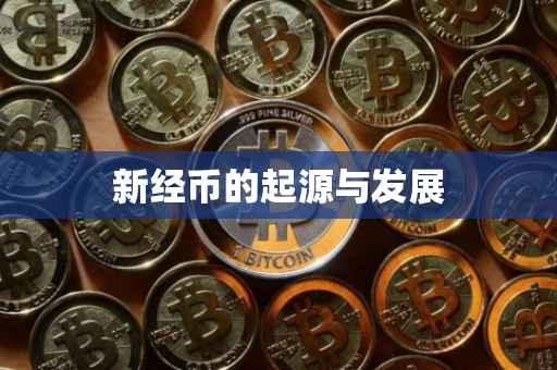 新经币的起源与发展