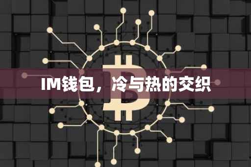 IM钱包，冷与热的交织