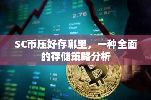 SC币压好存哪里，一种全面的存储策略分析