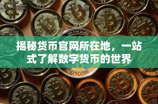 揭秘货币官网所在地，一站式了解数字货币的世界