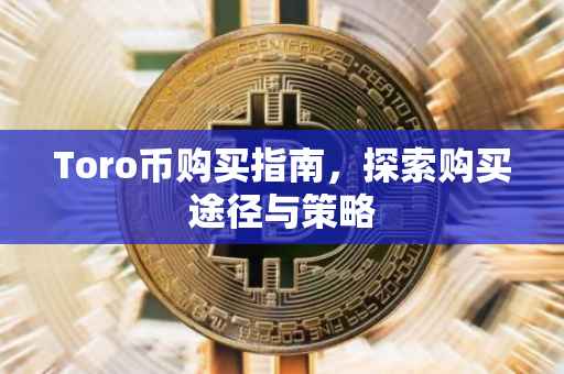 Toro币购买指南，探索购买途径与策略