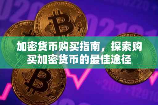 加密货币购买指南，探索购买加密货币的最佳途径