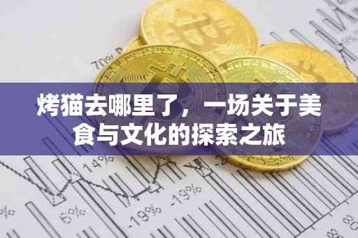 烤猫去哪里了，一场关于美食与文化的探索之旅