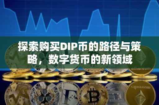 探索购买DIP币的路径与策略，数字货币的新领域