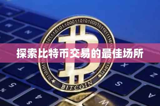 探索比特币交易的最佳场所