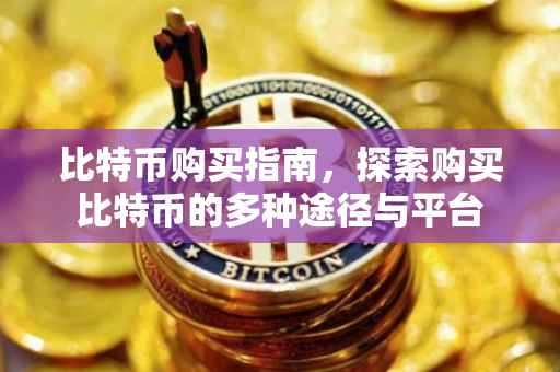比特币购买指南，探索购买比特币的多种途径与平台