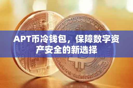 APT币冷钱包，保障数字资产安全的新选择