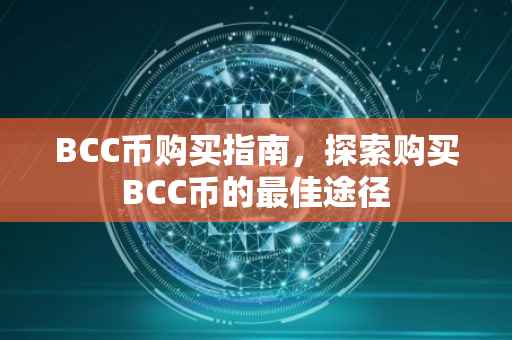 BCC币购买指南，探索购买BCC币的最佳途径