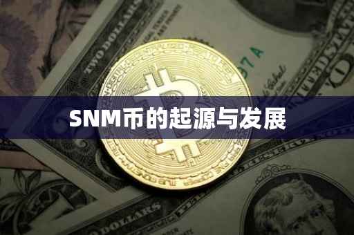 SNM币的起源与发展