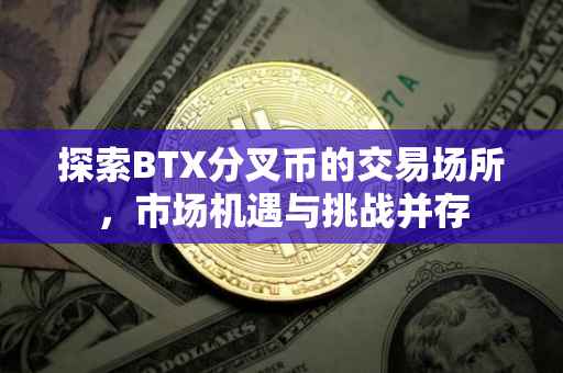 探索BTX分叉币的交易场所，市场机遇与挑战并存