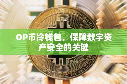 OP币冷钱包，保障数字资产安全的关键
