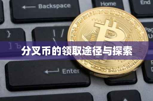分叉币的领取途径与探索