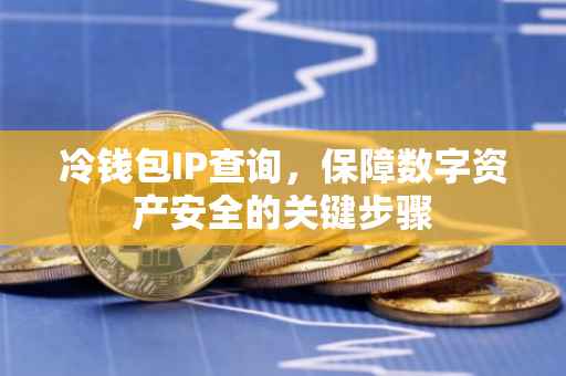 冷钱包IP查询，保障数字资产安全的关键步骤