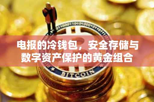 电报的冷钱包，安全存储与数字资产保护的黄金组合