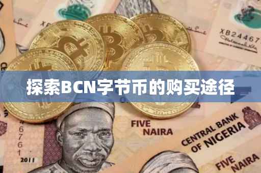 探索BCN字节币的购买途径