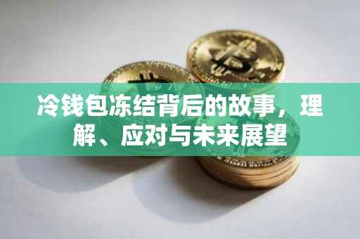 冷钱包冻结背后的故事，理解、应对与未来展望