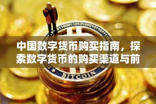 中国数字货币购买指南，探索数字货币的购买渠道与前景