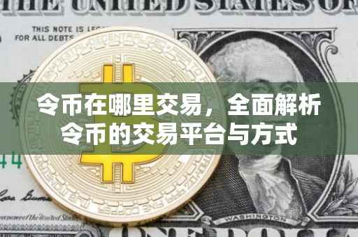 令币在哪里交易，全面解析令币的交易平台与方式