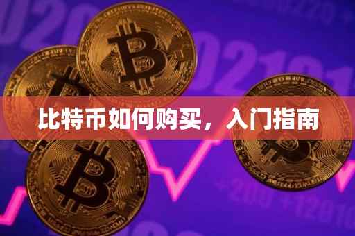 比特币如何购买，入门指南