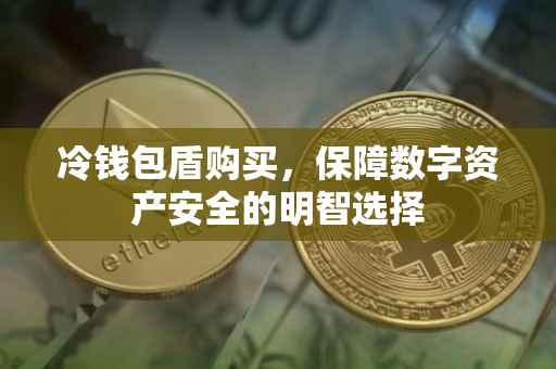 冷钱包盾购买，保障数字资产安全的明智选择