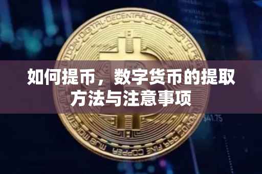 如何提币，数字货币的提取方法与注意事项