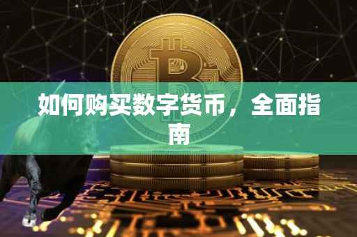 如何购买数字货币，全面指南