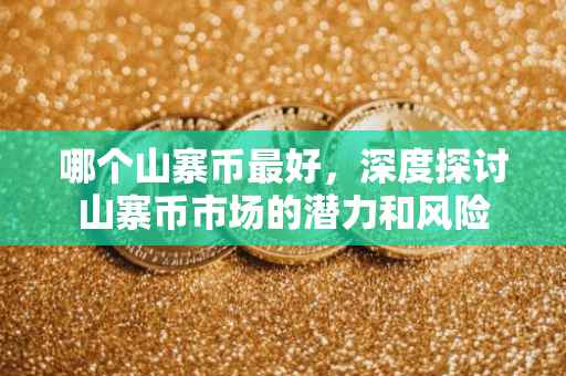 哪个山寨币最好，深度探讨山寨币市场的潜力和风险